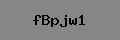 Captcha Verification