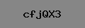 Captcha Verification