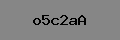 Captcha Verification