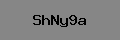 Captcha Verification